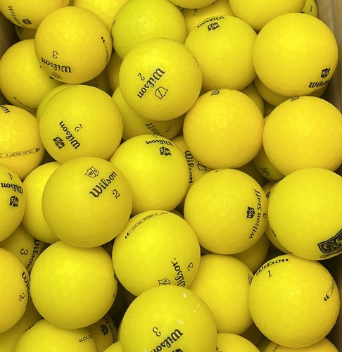Palline golf wilson - 50,